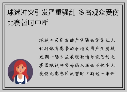 球迷冲突引发严重骚乱 多名观众受伤比赛暂时中断